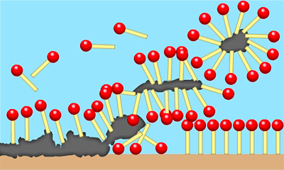Action of Surfactants, Structure, Types and Uses